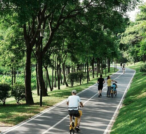 Low Impact Outdoor Activities for an Active Weekly Routine